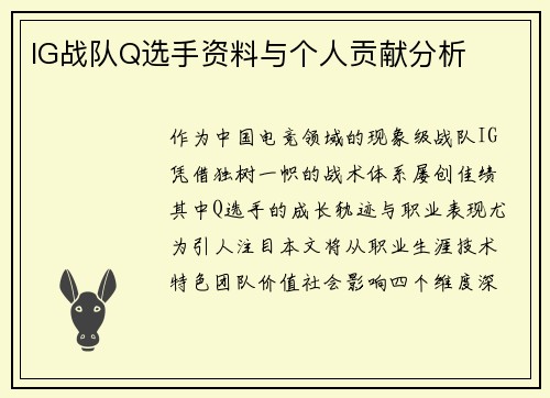 IG战队Q选手资料与个人贡献分析