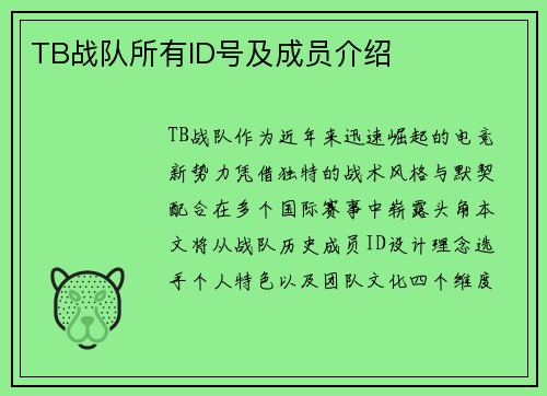 TB战队所有ID号及成员介绍
